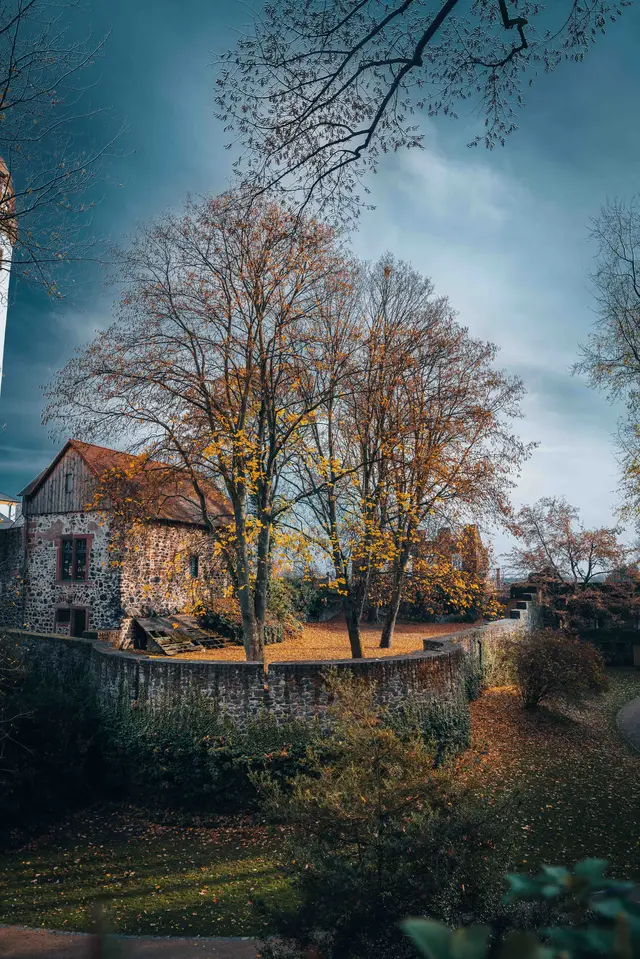 Landscape