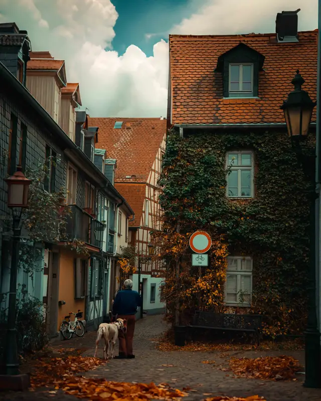 Landscape