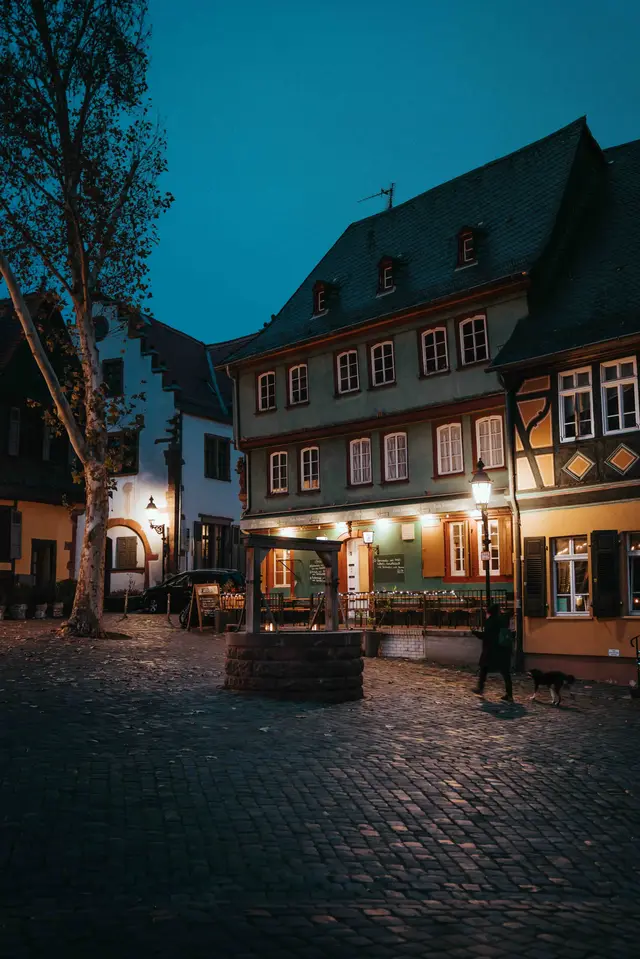 Landscape