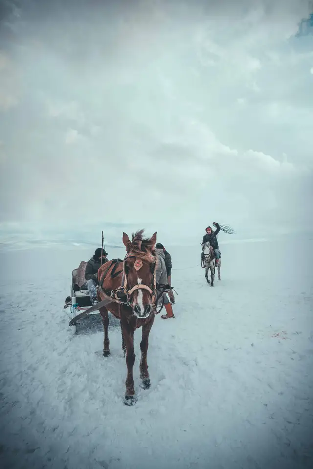 Landscape