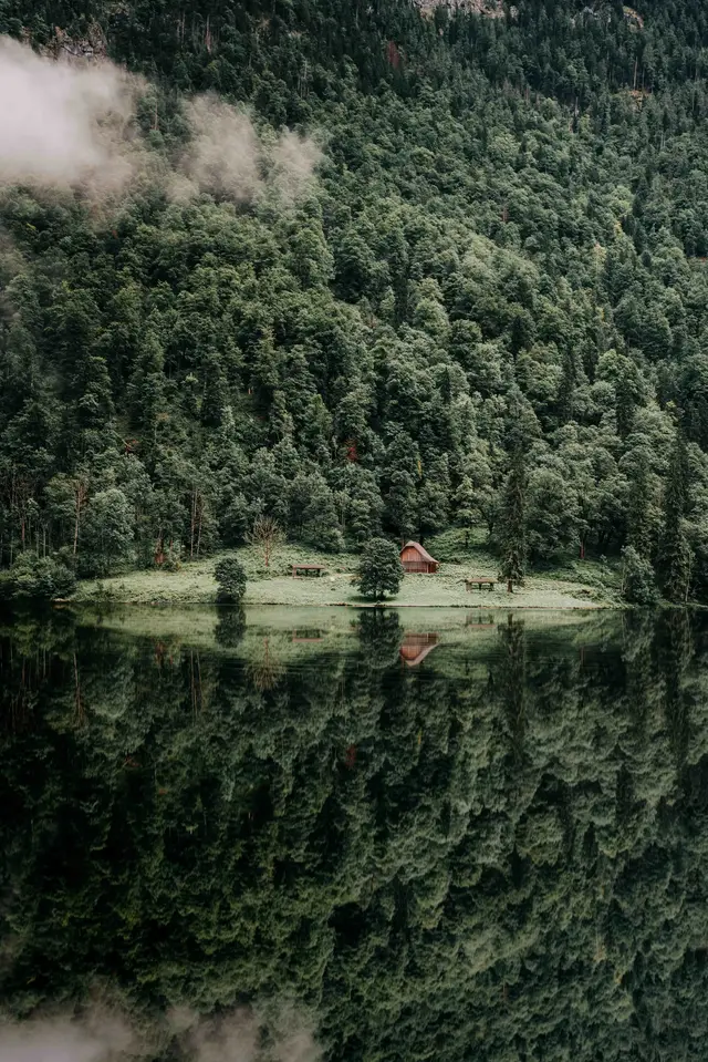 Landscape