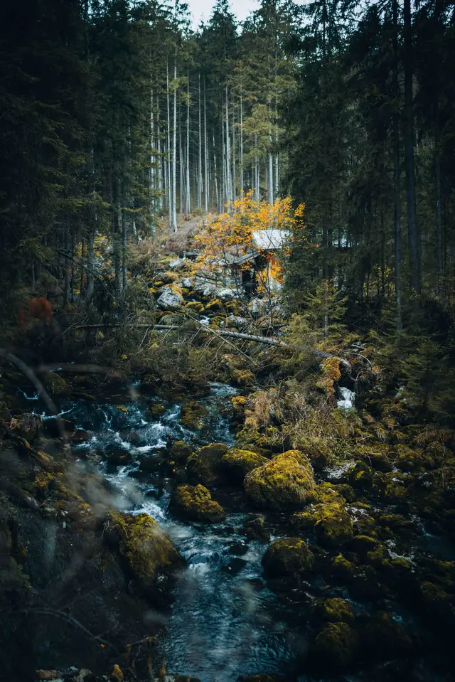 Landscape