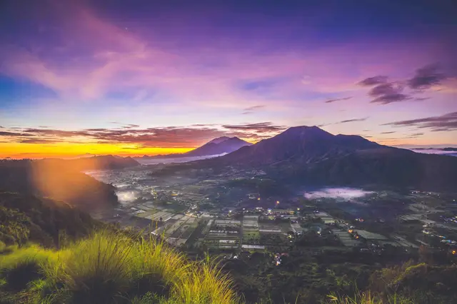 Landscape
